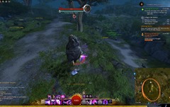 gw2-a-bug-in-the-system-achievements-guide-39.