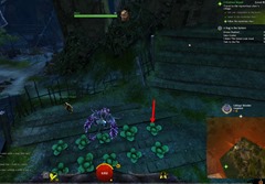gw2-a-bug-in-the-system-achievements-guide-9