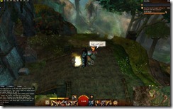 gw2-a-waddle-to-remember-achievement-guide-7