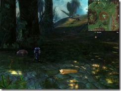 gw2-a-waddle-to-remember-achievement-guide-9