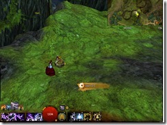 gw2-a-waddle-to-remember-achievement-guide-caledon-forest