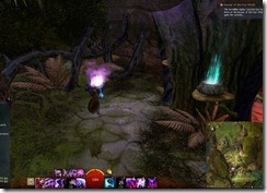 gw2-a-waddle-to-remember-caledon-forest-3b
