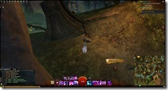 gw2-a-waddle-to-remember-metrica-province-1b