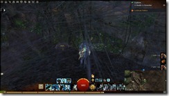 gw2-a-waddle-to-remember-metrica-province-4b