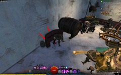 gw2-chairs-of-the-world-achievement-guide-54