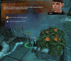 gw2-donation-drive-orphan-location-guide-4