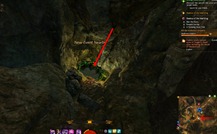 gw2-dragon's-stand-mushroom-grotto-hero-point-2