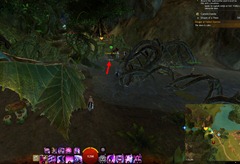 gw2-dreams-of-a-thorn-collection-guide-16