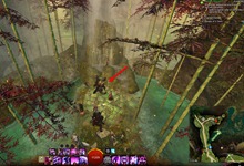 gw2-dreams-of-a-thorn-collection-guide-4