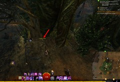 gw2-dreams-of-a-thorn-collection-guide-6