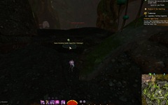 gw2-guano-incubed-spider-eggs-hero-point-tangled-depths
