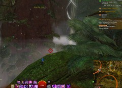 gw2-jungle-totem-hunter-achievement-guide-4