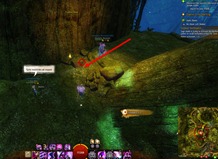 gw2-no-masks-left-behind-achievement-guide-tarnished-treetop-2