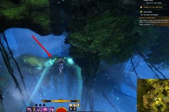 gw2-no-masks-left-behind-achievement-guide-tarnished-treetop-3