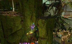 gw2-tangled-depths-insight-north-confluence-5