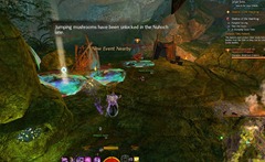 gw2-tangled-depths-insight-order-of-whispers-outpost-3