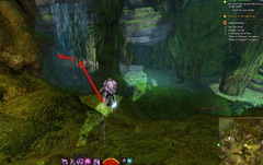 gw2-tangled-depths-strongbox-from-the-cryptonym-2