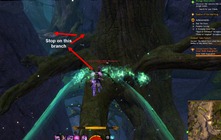 gw2-tangled-depths-strongbox-from-the-cryptonym-8