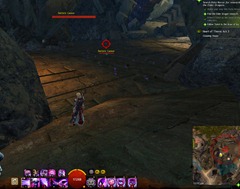 gw2-cleaning-house-act-3-achievements-2