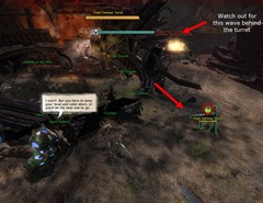 gw2-conservation-of-resources-hot-act-I-story-achievement