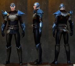 gw2-elegy-armor-medium-male