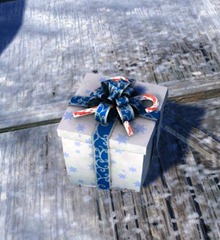 gw2-endless-gift-box-tonic