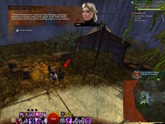 gw2-into-the-mind-of-madness-achievement-11