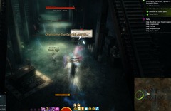 gw2-it's-all-about-timing-arcana-obscura-achievements-2
