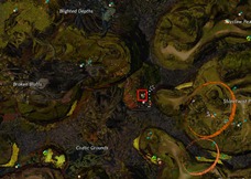 gw2-jungle-totem-hunter-achievement-guide-11