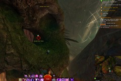 gw2-jungle-totem-hunter-achievement-guide-12