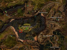 gw2-jungle-totem-hunter-achievement-guide-5