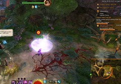 gw2-lord-of-the-jungle-verdant-brink-achievements-guide-3
