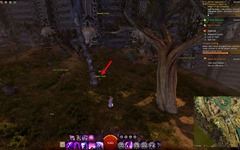 gw2-lost-to-time-achievement-guide-31