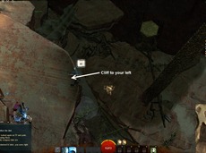 gw2-prospect-valley-jumping-puzzle-and-diving-goggle-guide-5