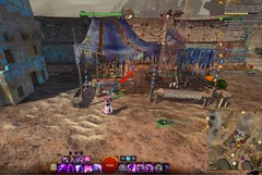 gw2-springer-backpacking-achievement-guide-22