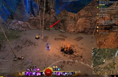 gw2-springer-backpacking-achievement-guide-23