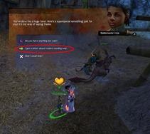 gw2-springer-backpacking-achievement-guide